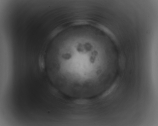 X0000101440929200807071359