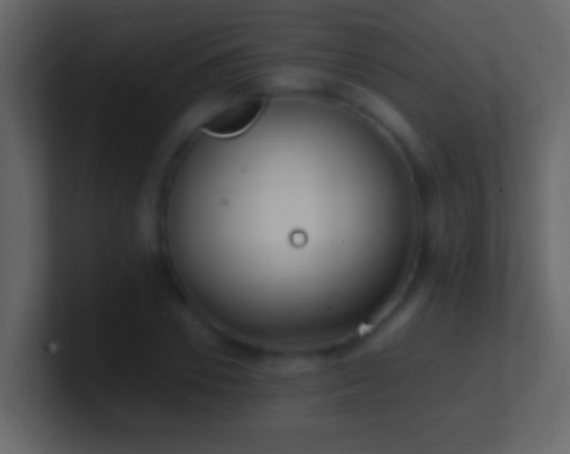 X0000101440930200807071359