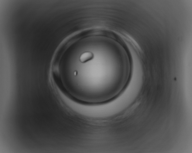 X0000101440932200807071359