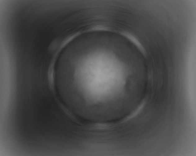 X0000101440933200807071359