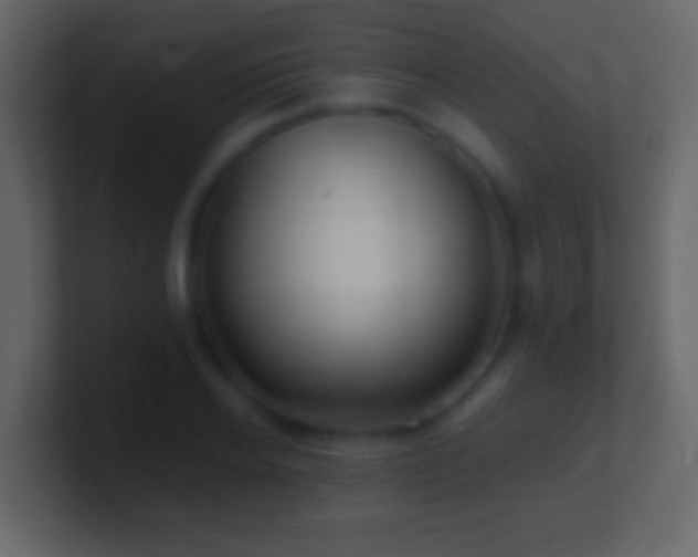 X0000101440934200807071359