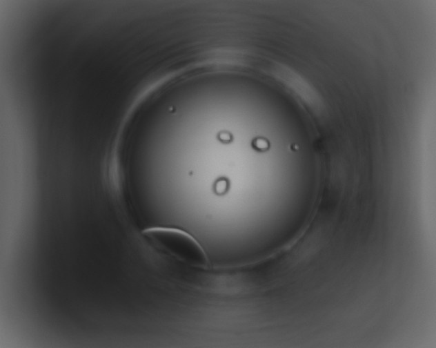 X0000101440936200807071359