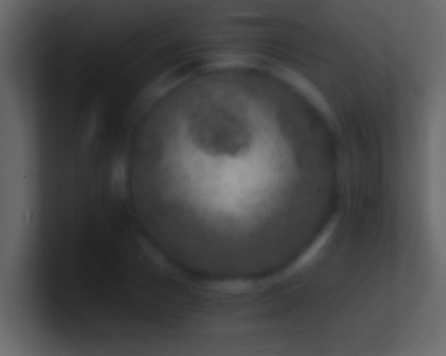 X0000101440937200807071359