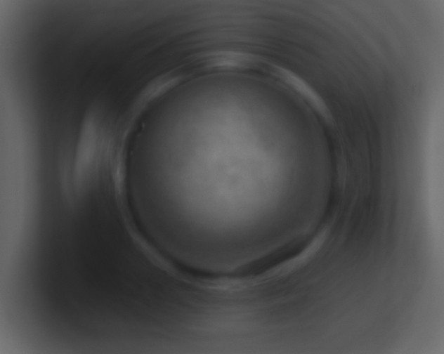 X0000101440938200807071359