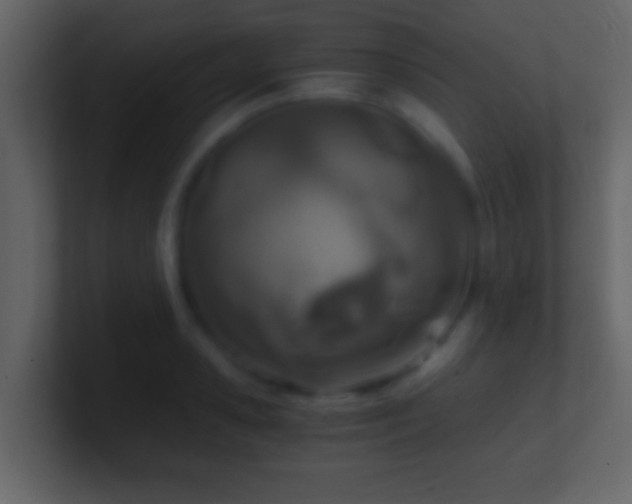 X0000101440941200807071400