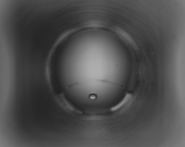 X0000101440942200807071400