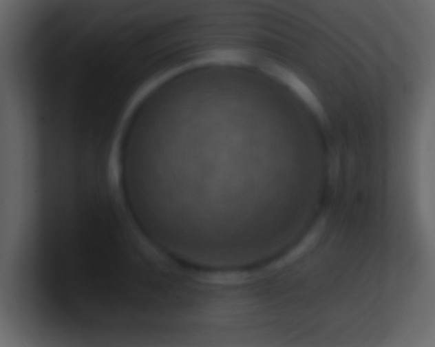 X0000101440944200807071400