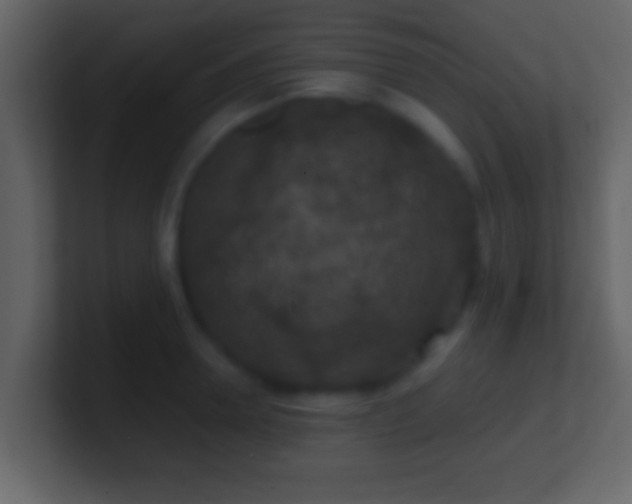 X0000101440946200807071400