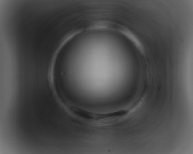 X0000101440949200807071400