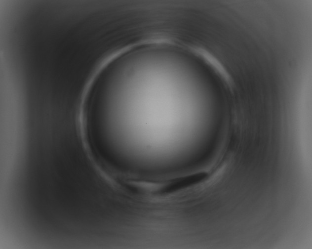 X0000101440951200807071400