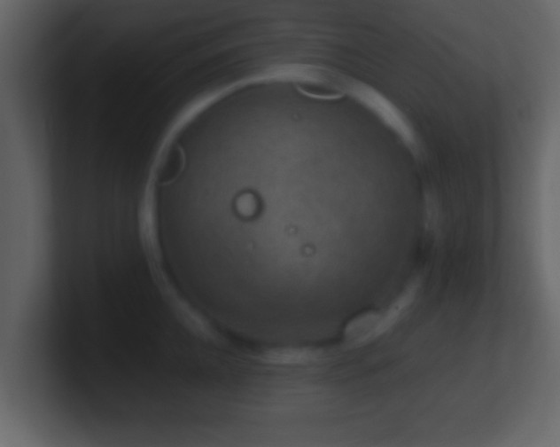 X0000101440952200807071400