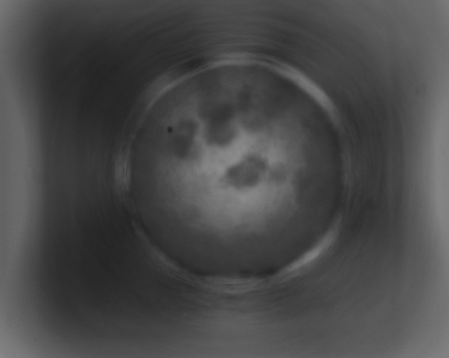 X0000101440953200807071400