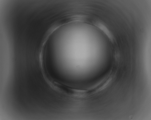 X0000101440954200807071400