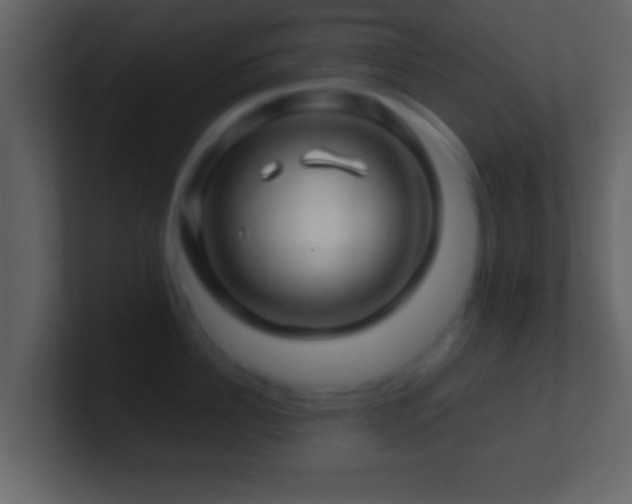 X0000101440956200807071400