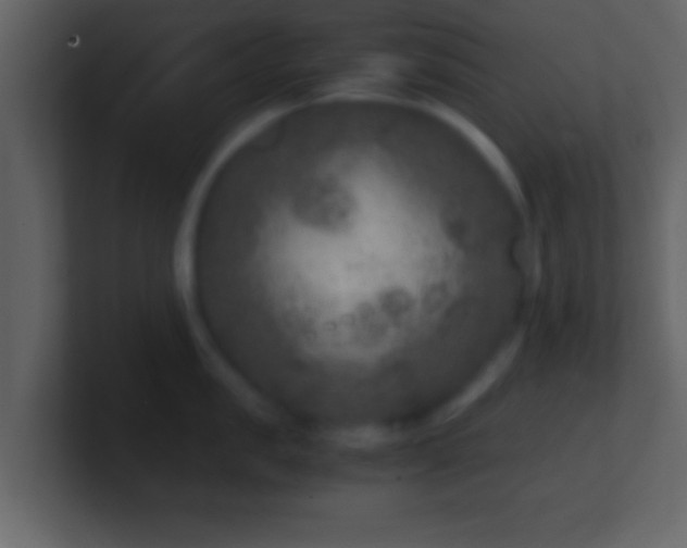 X0000101440957200807071400