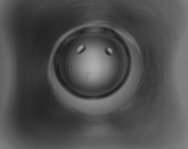 X0000101440960200807071400