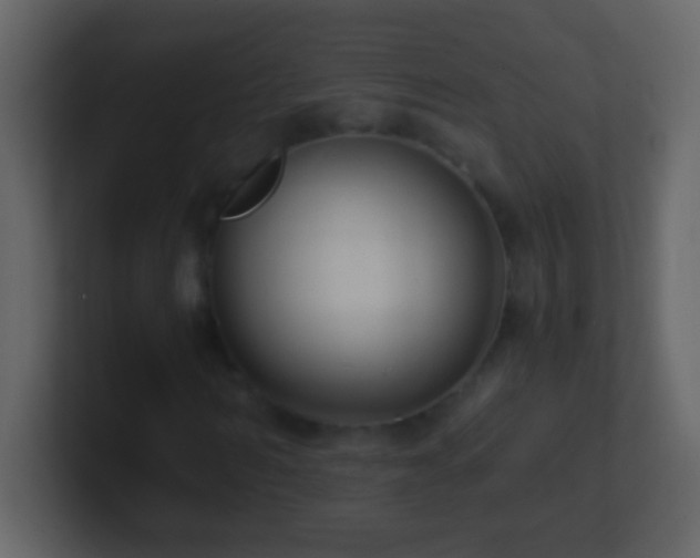 X0000101440962200807071359