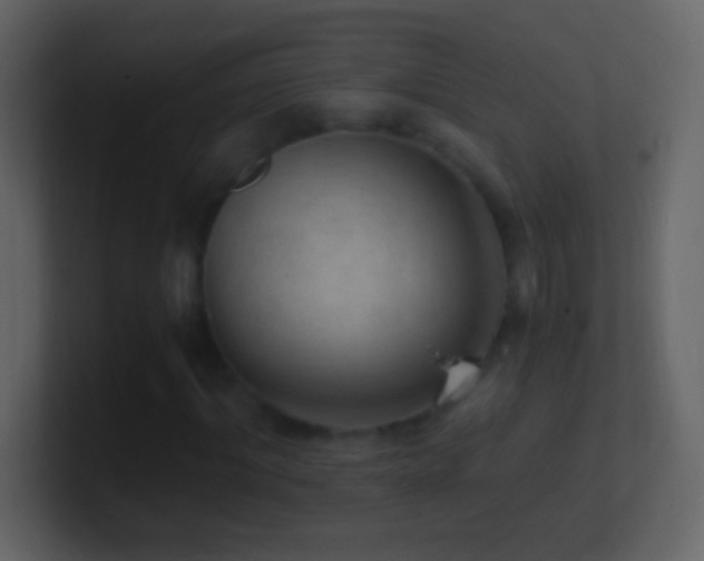 X0000101440964200807071359