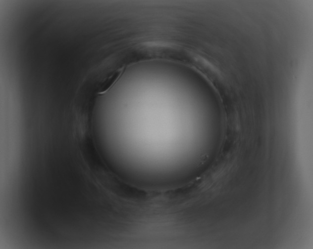 X0000101440965200807071359