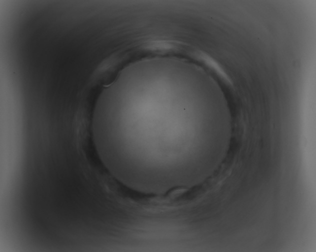 X0000101440967200807071359