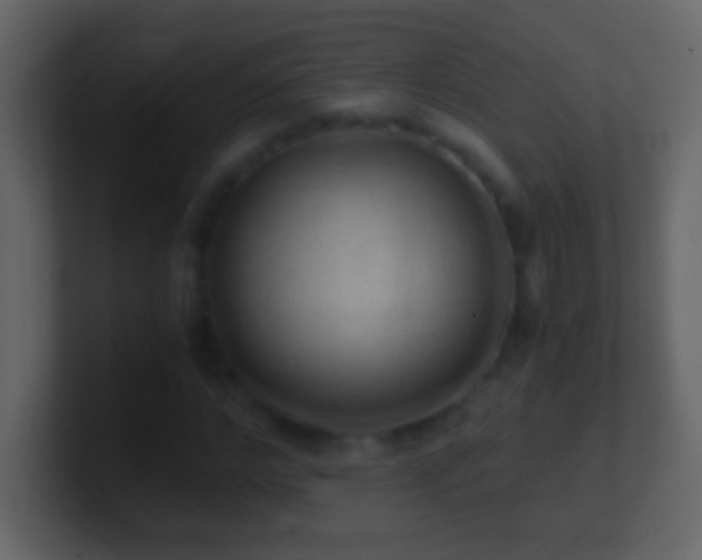 X0000101440968200807071359