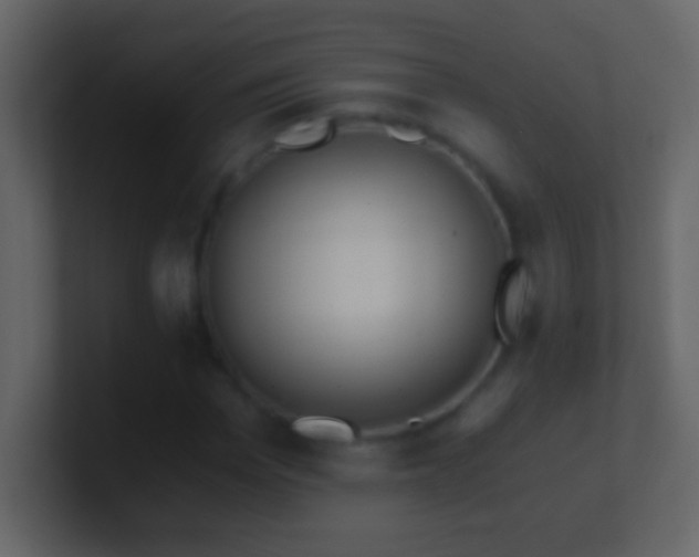 X0000101440969200807071359