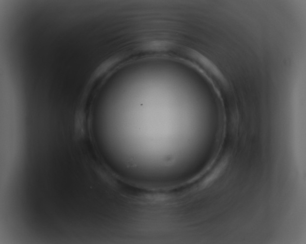 X0000101440970200807071359