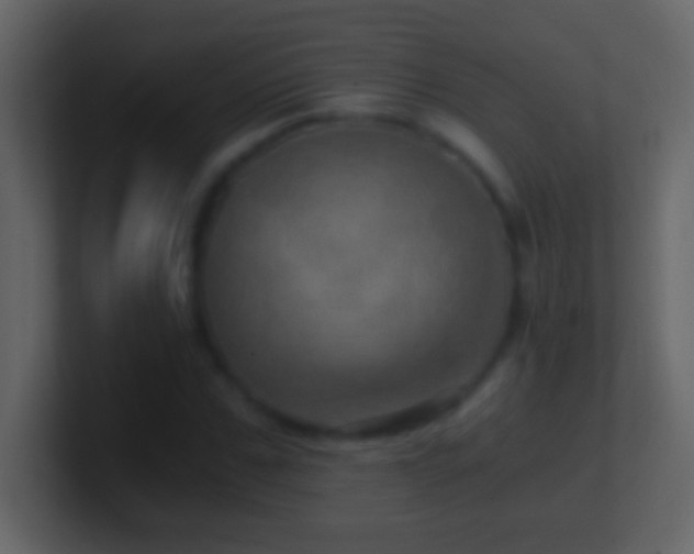 X0000101440971200807071359