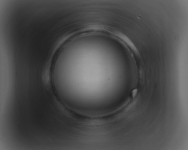 X0000101440972200807071359