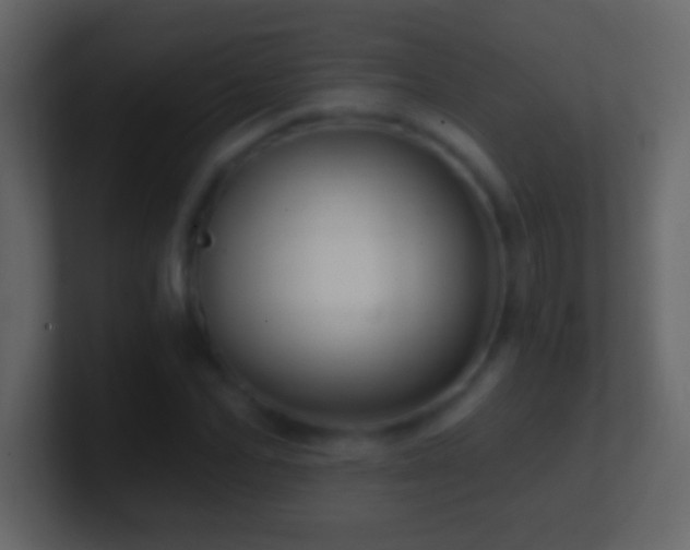 X0000101440974200807071359