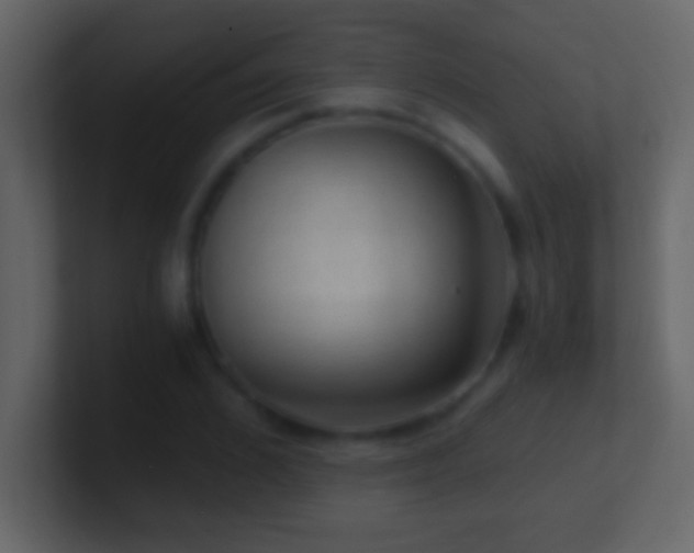 X0000101440976200807071359