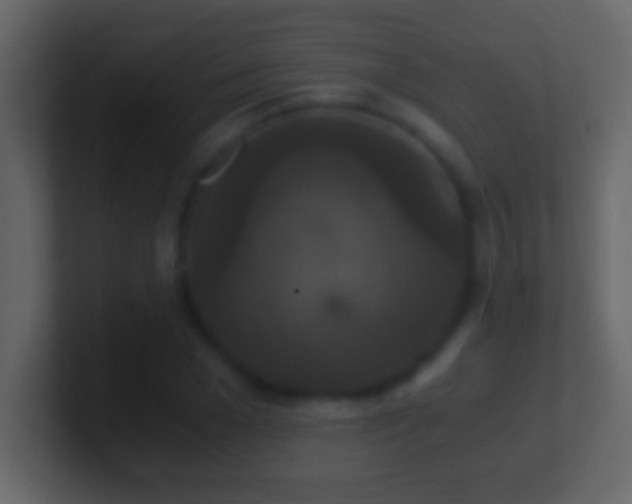 X0000101440977200807071359