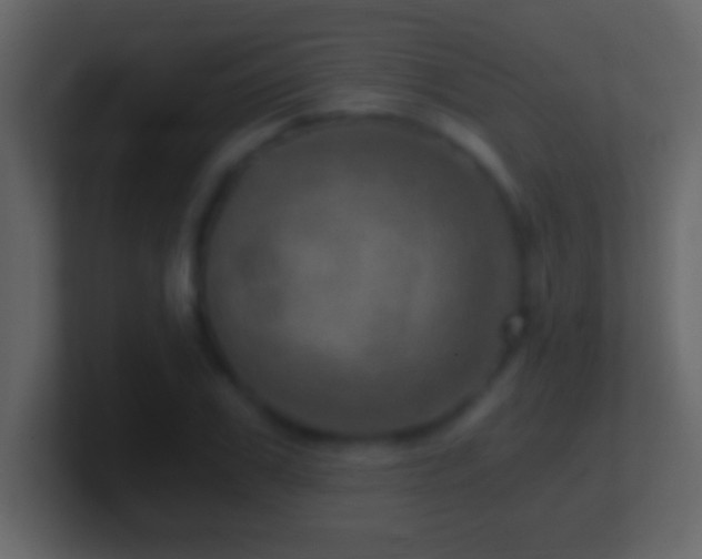 X0000101440979200807071359