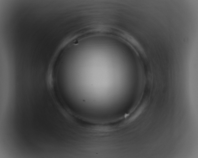 X0000101440981200807071359