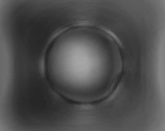 X0000101440983200807071359