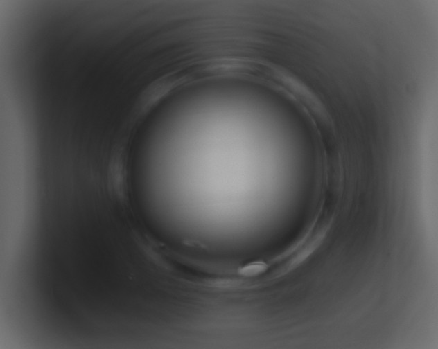 X0000101440985200807071359