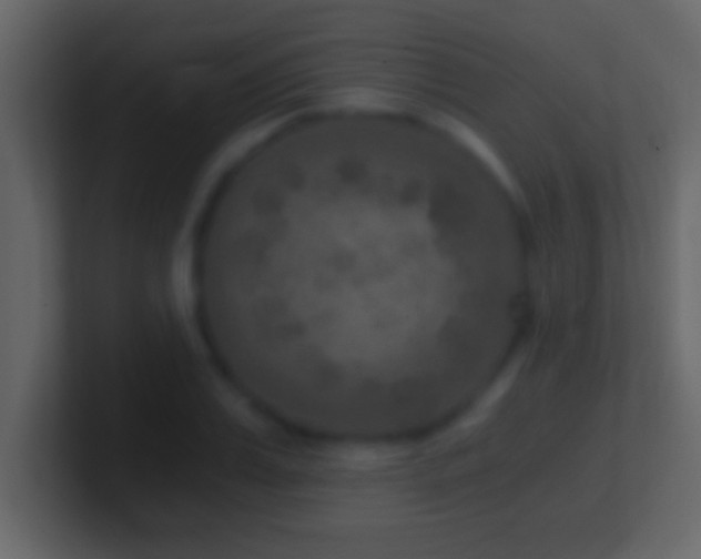 X0000101440987200807071359