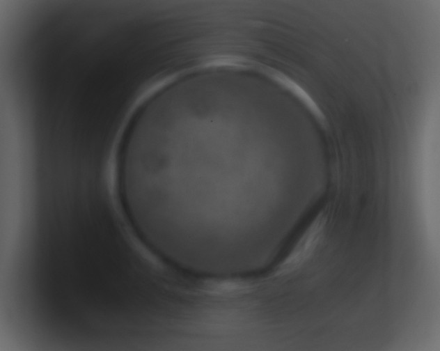 X0000101440991200807071359