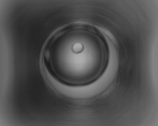 X0000101440992200807071359