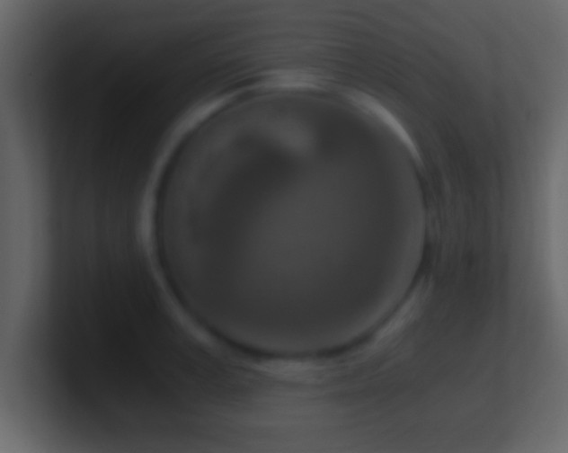 X0000101440995200807071359