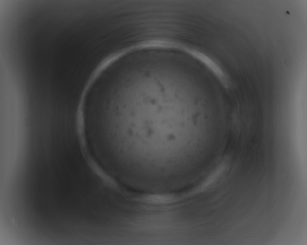 X0000101440998200807071359