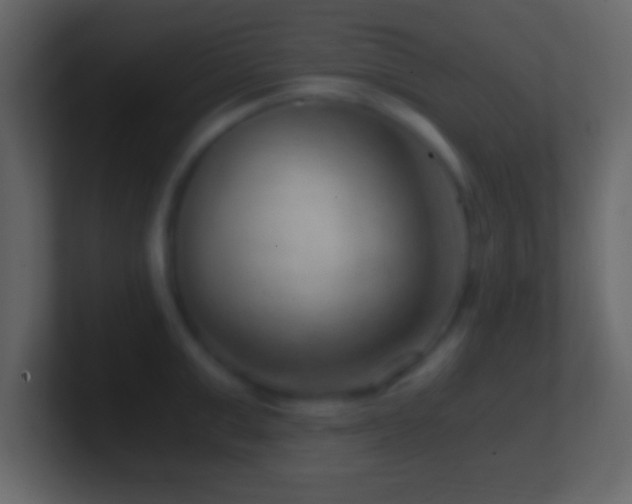 X0000101440999200807071359