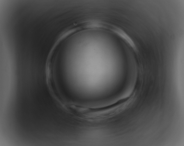 X0000101441000200807071359