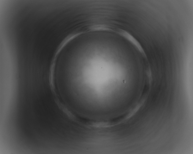 X0000101441002200807071359