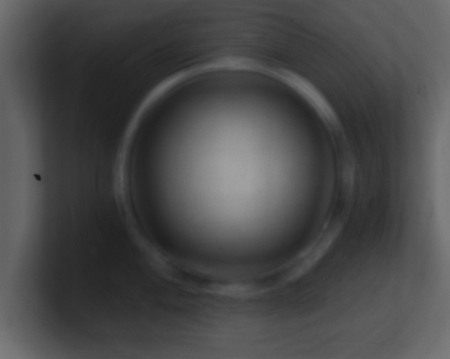 X0000101441004200807071359