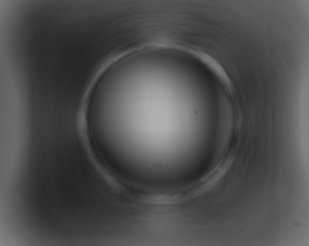 X0000101441005200807071359