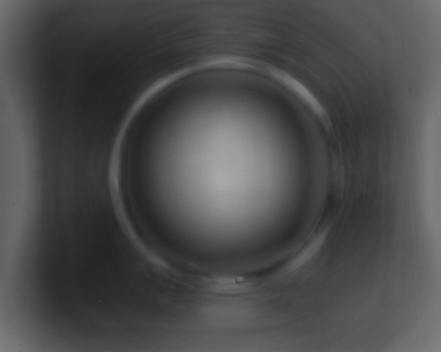 X0000101441007200807071359