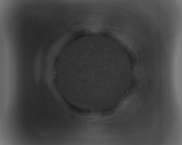 X0000101441009200807071358