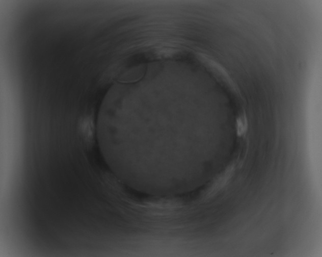 X0000101441011200807071358