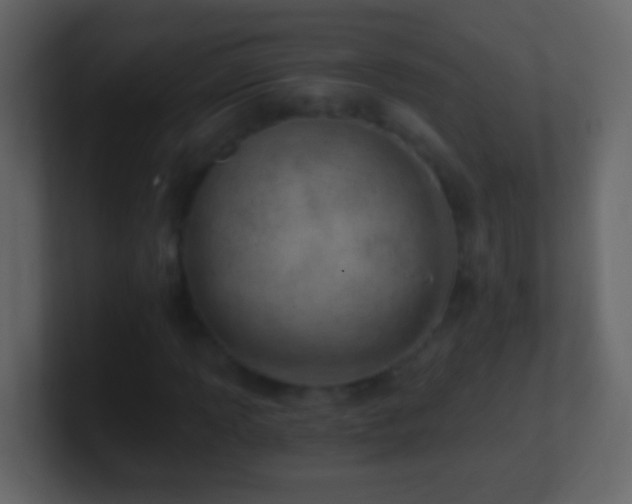 X0000101441013200807071358